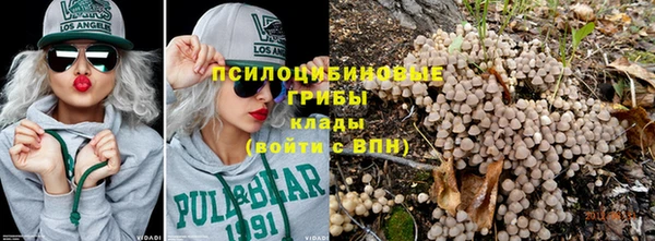 МДПВ Алзамай