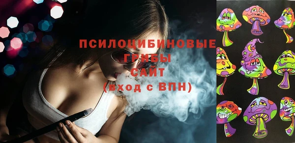 МДПВ Алзамай