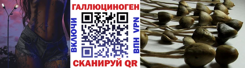 Псилоцибиновые грибы Psilocybine cubensis  Купить закладки  Спасск-Дальний 